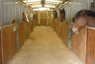  Pony Club en el Oise